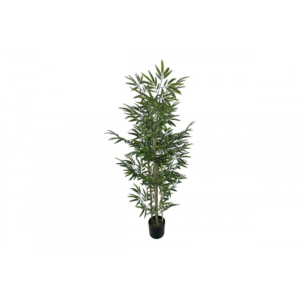 Διακοσμητικό φυτό "BAMBOO" σε γλάστρα από pp σε χρώμα πράσινο Υ150