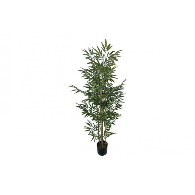 Διακοσμητικό φυτό "BAMBOO" σε γλάστρα από pp σε χρώμα πράσινο Υ150