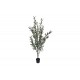 Διακοσμητικό φυτό "OLIVE TREE II" σε γλάστρα από pp σε χρώμα πράσινο Υ160
