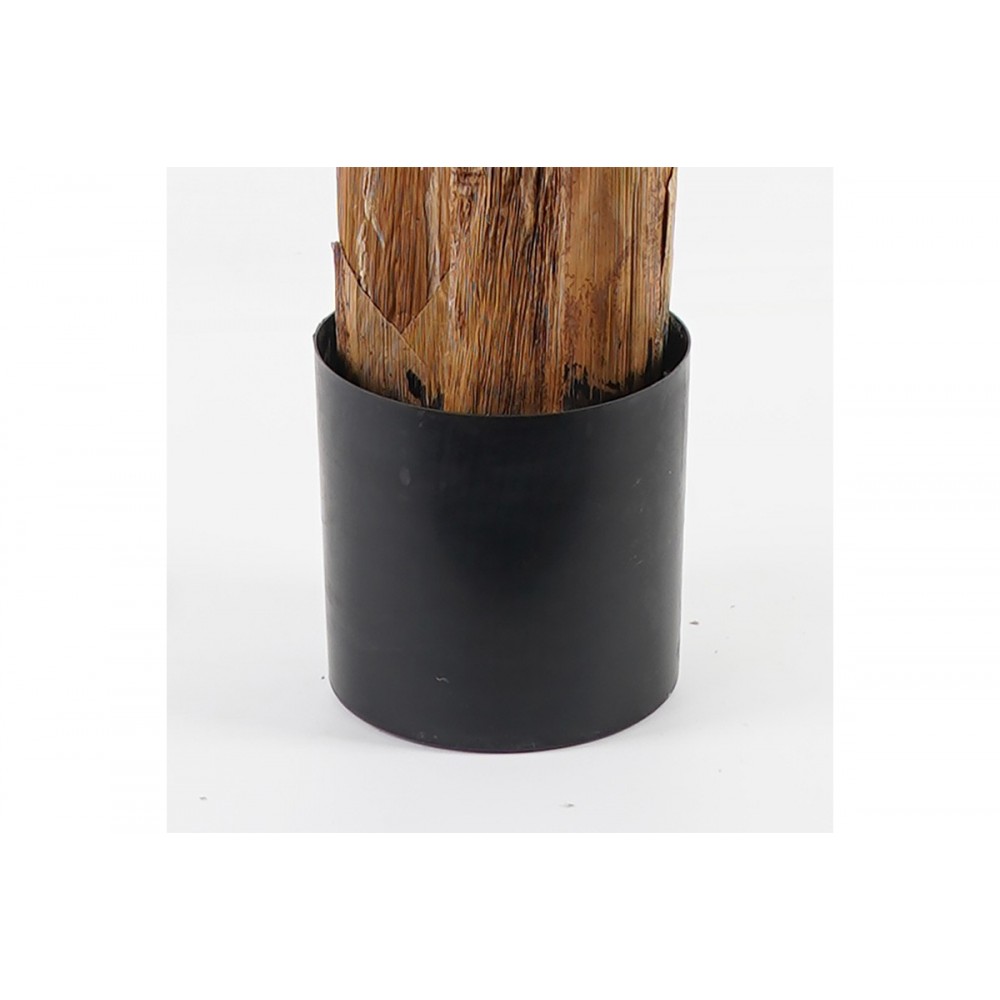 Διακοσμητικό φυτό σε γλάστρα "BANANA TREE" σε χρώμα πράσινο Φ53x190