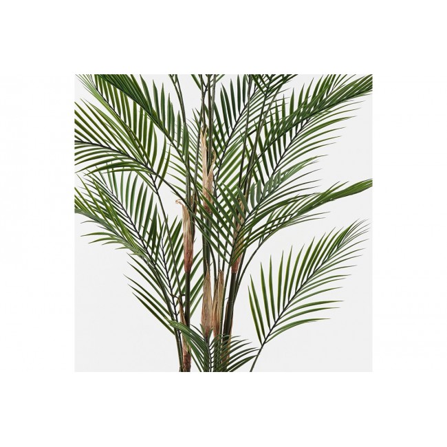 Διακοσμητικό φυτό σε γλάστρα "KWAI" σε χρώμα πράσινο Φ92x150