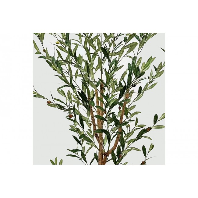 Διακοσμητικό φυτό σε γλάστρα "OLIA" σε χρώμα πράσινο 65x55x180