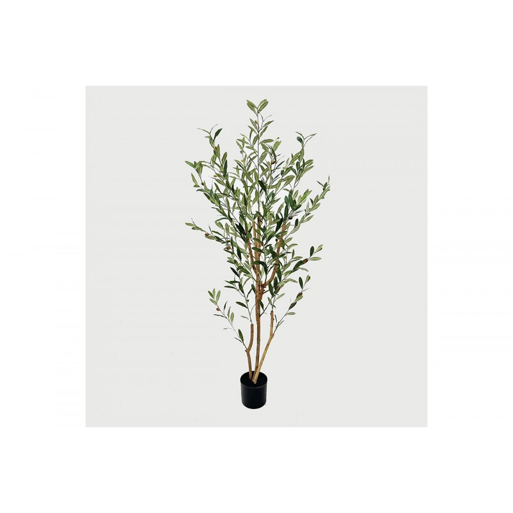 Διακοσμητικό φυτό σε γλάστρα "OLIA" σε χρώμα πράσινο 65x55x180