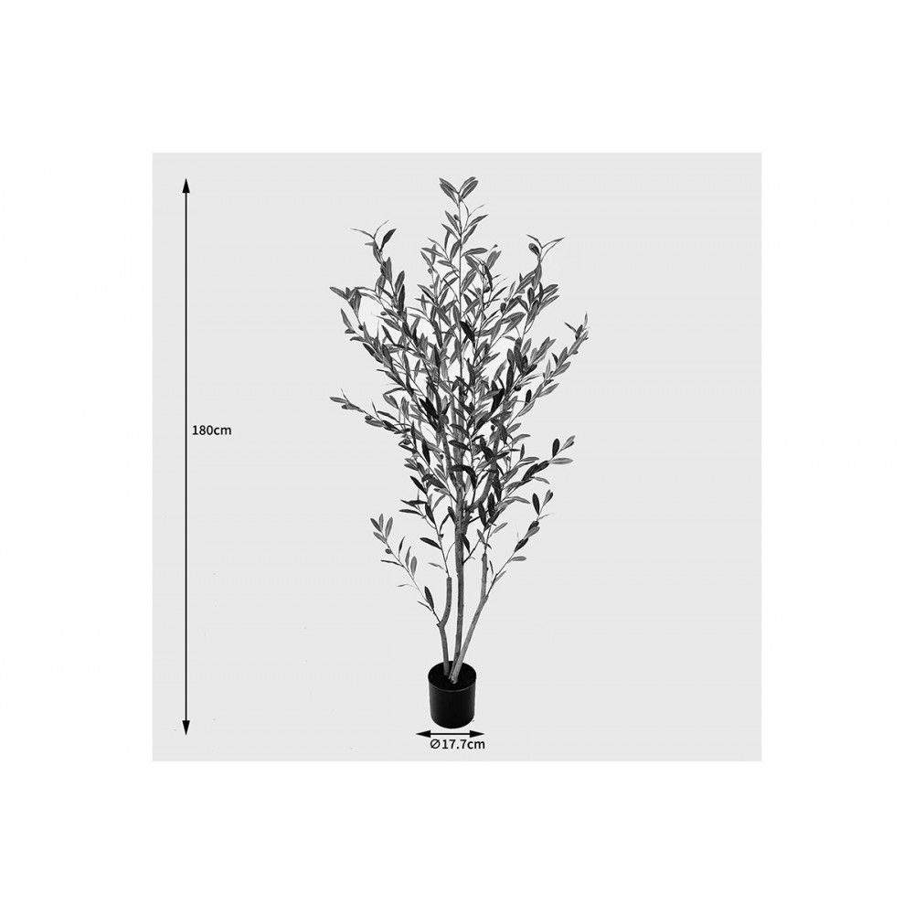 Διακοσμητικό φυτό σε γλάστρα "OLIA" σε χρώμα πράσινο 65x55x180