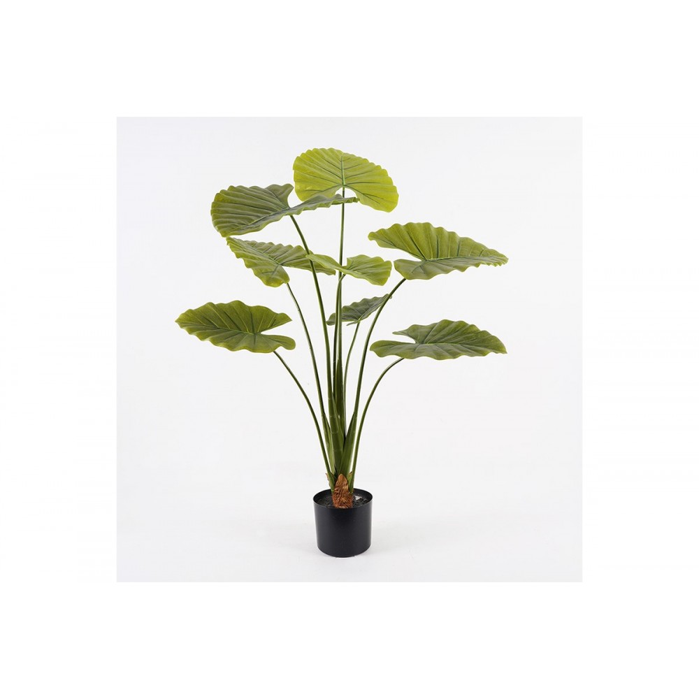 Διακοσμητικό φυτό σε γλάστρα "ALOCASIA" σε χρώμα πράσινο Φ90x120