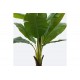 Διακοσμητικό φυτό σε γλάστρα "MUSA" σε χρώμα πράσινο Φ105x180