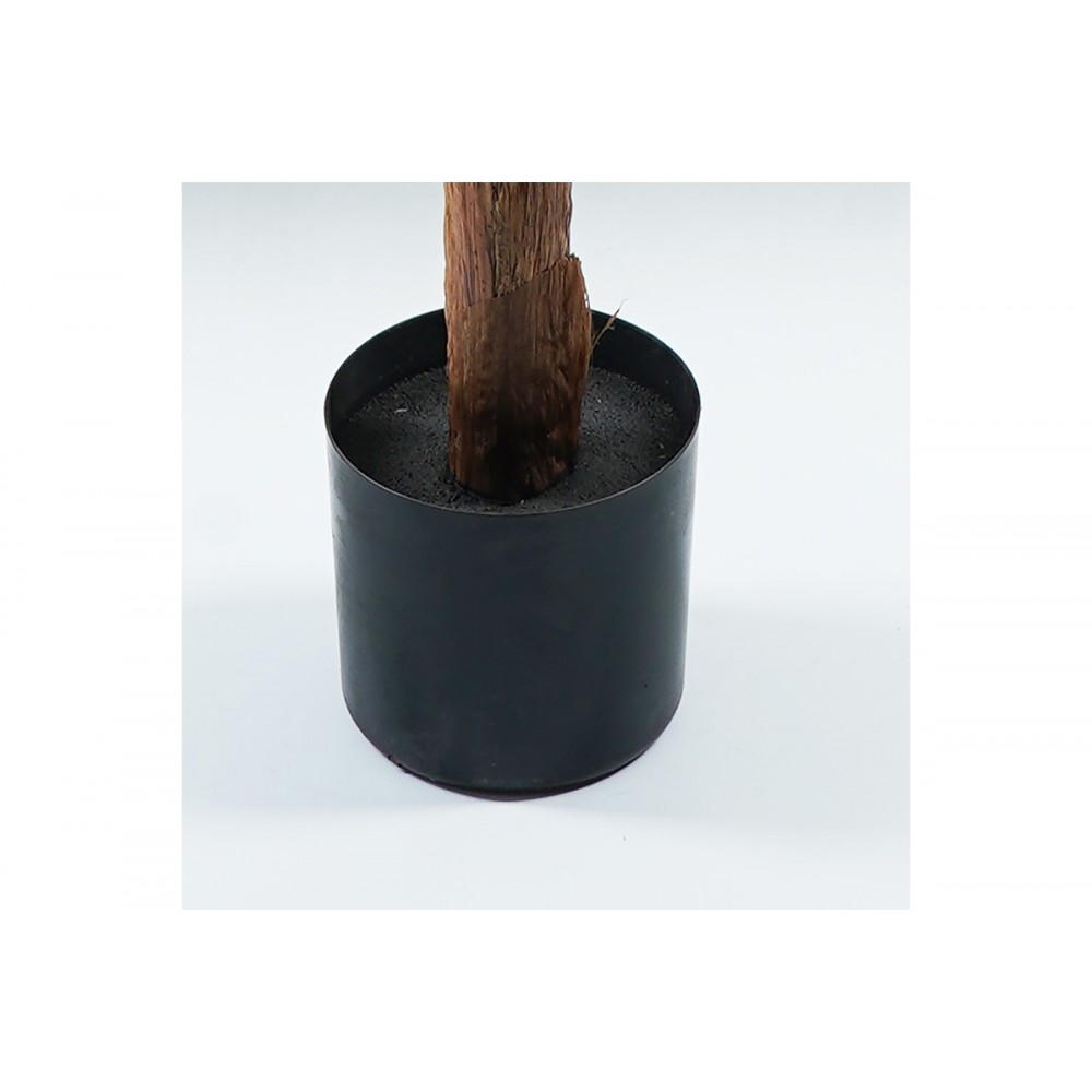 Διακοσμητικό φυτό σε γλάστρα "MUSA" σε χρώμα πράσινο Φ105x180