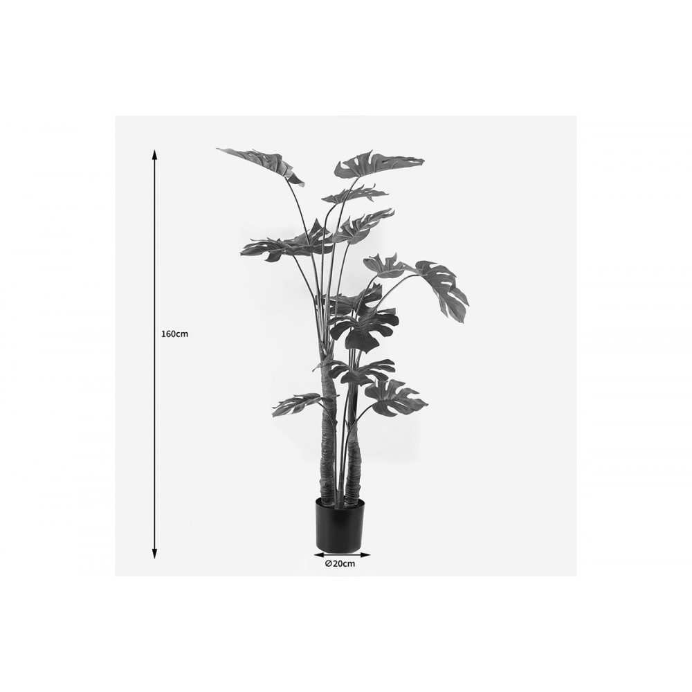 Διακοσμητικό φυτό σε γλάστρα "DELICIOSA I" σε χρώμα πράσινο Φ90x160