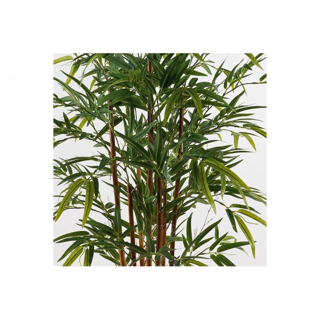 Διακοσμητικό φυτό σε γλάστρα "RHAPIS PALM" σε χρώμα πράσινο Φ60x120