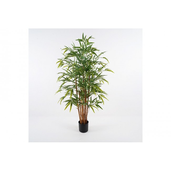 Διακοσμητικό φυτό σε γλάστρα "RHAPIS PALM" σε χρώμα πράσινο Φ60x120