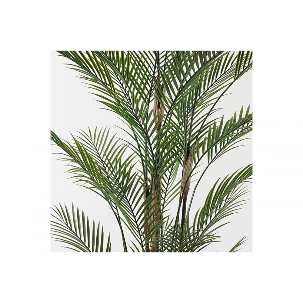 Διακοσμητικό φυτό σε γλάστρα "KWAI" σε χρώμα πράσινο Φ125x180