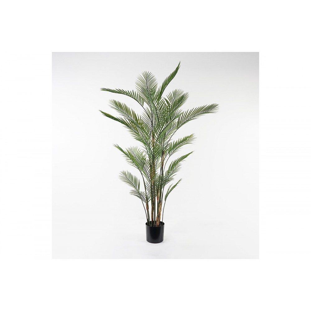 Διακοσμητικό φυτό σε γλάστρα "KWAI" σε χρώμα πράσινο Φ125x180