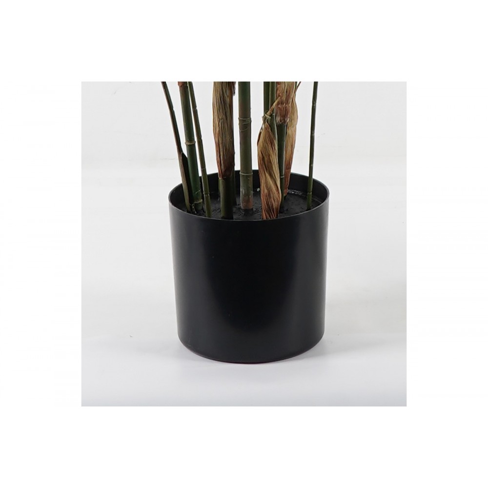 Διακοσμητικό φυτό σε γλάστρα "KWAI" σε χρώμα πράσινο Φ125x180