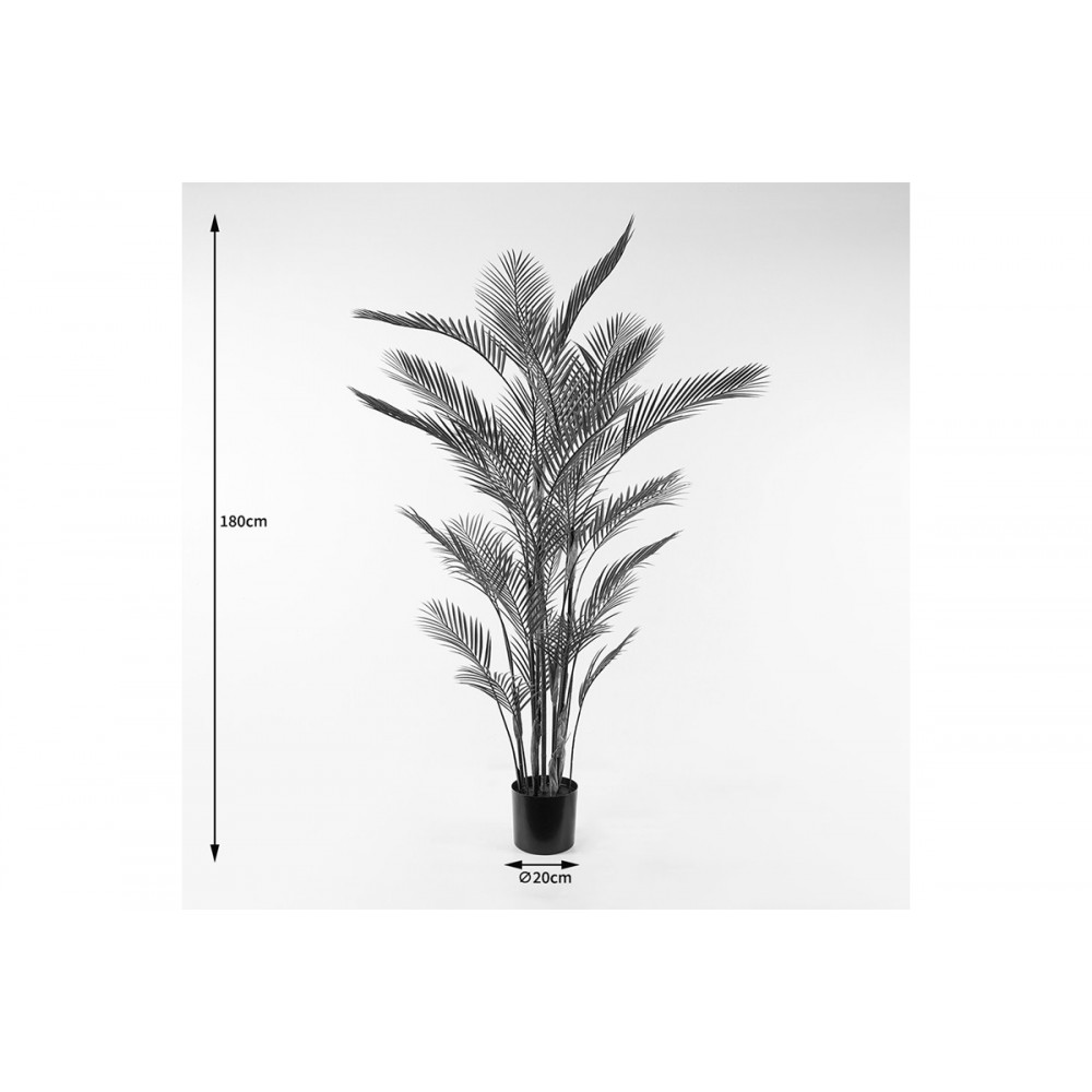 Διακοσμητικό φυτό σε γλάστρα "KWAI" σε χρώμα πράσινο Φ125x180